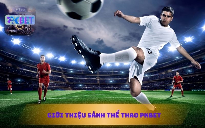 GIỚI THIỆU SẢNH THỂ THAO PKBET