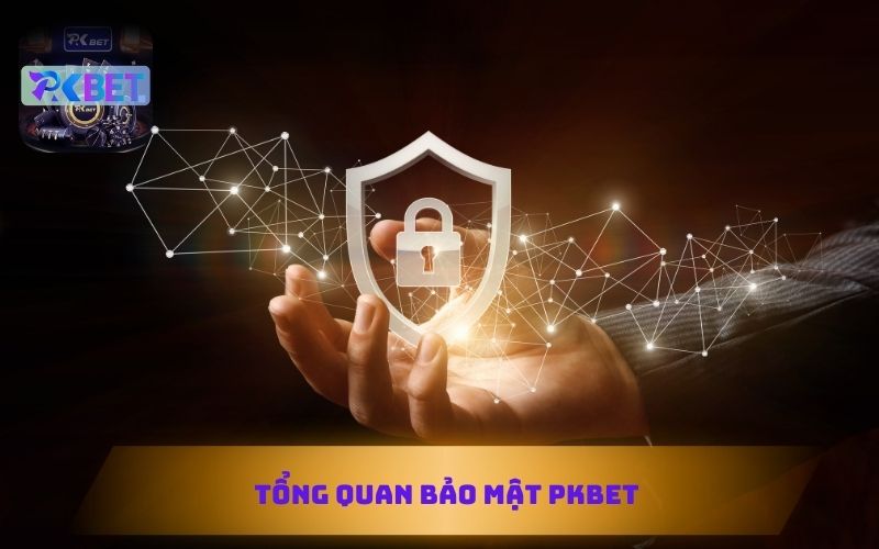 TỔNG QUAN CHÍNH SÁCH BẢO MẬT TẠI PKBET